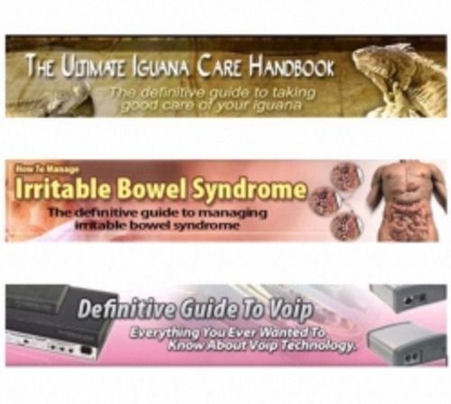 Product picture Moving Sale 3 PLR eBooks - Pack 13 PLR