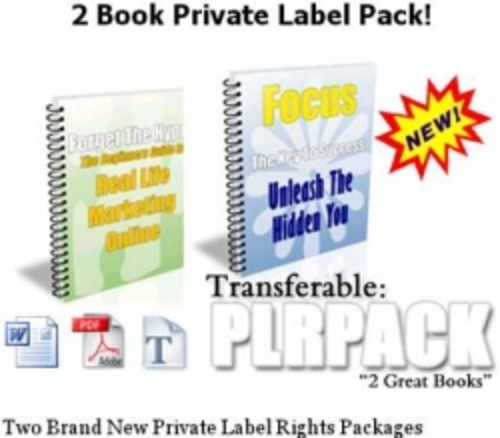 Product picture 2 PLR Pack