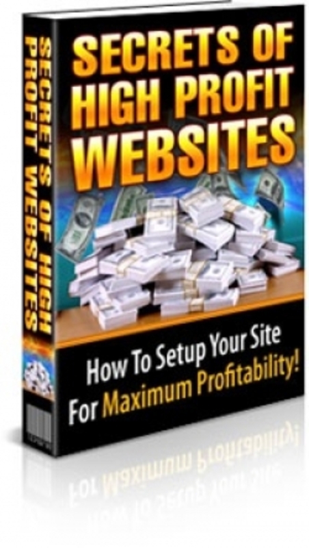 Product picture Secrets Of High Profit Websites PLR