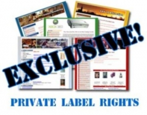 Product picture PLR Special Offer : 4 Brand New E-Books + Bonus