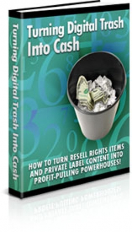 Product picture Turning Digital Trash Into Cash PLR