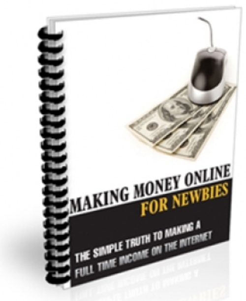 Product picture Making Money Online For Newbies PLR