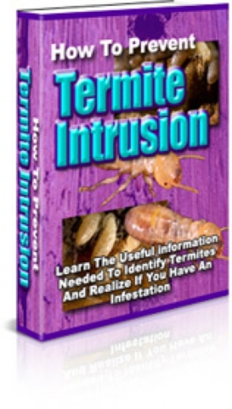 Product picture How To Prevent Termite Intrusion PLR