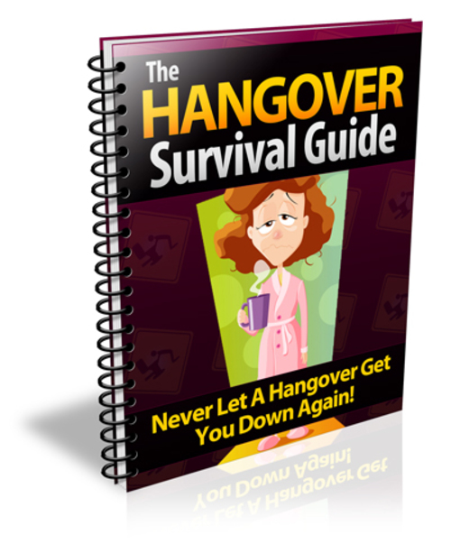 Product picture The Hangover Survival Guide MRR