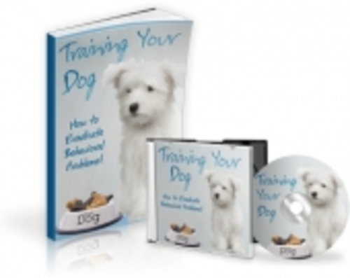 Product picture Training Your Dog mrr