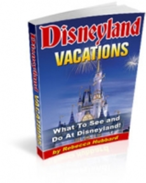 Product picture Disneyland Vacations mrr