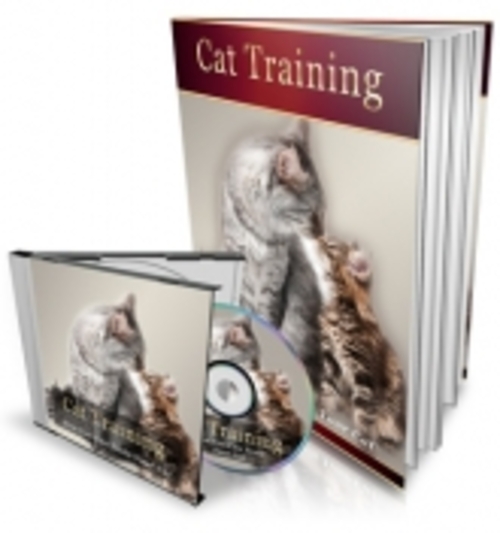 Product picture Cat Training mrr