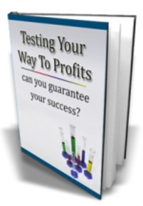 Product picture Testing Your Way To Profits mrr