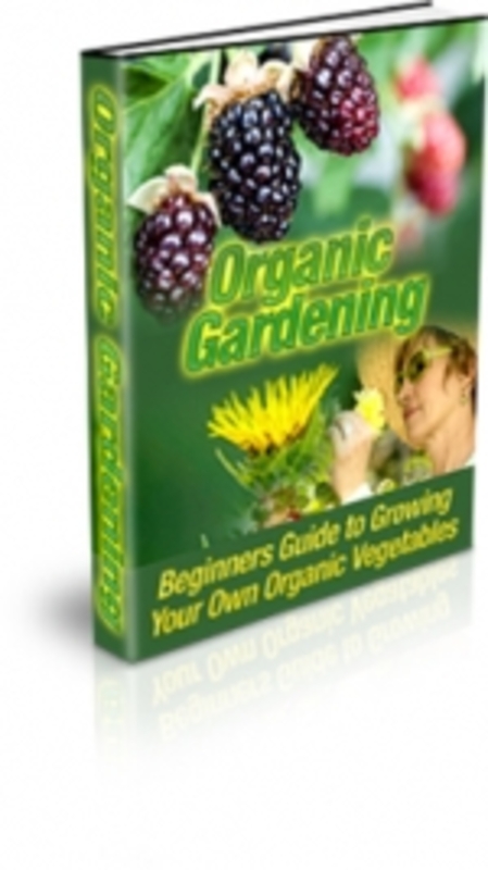 Product picture Organic Gardening mrr