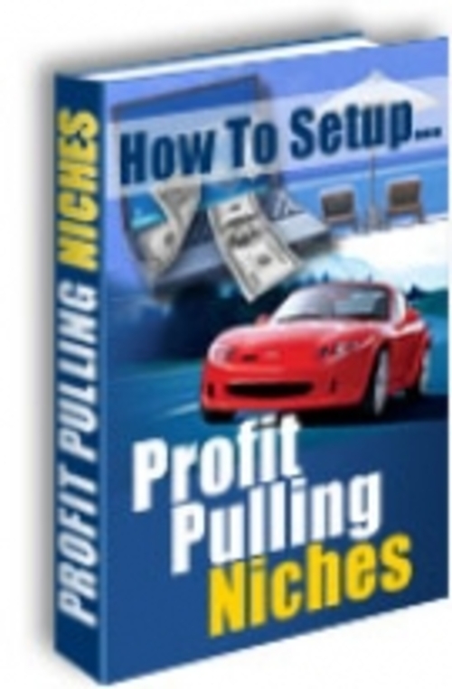Product picture How To Setup Profit Pulling Niches mrr