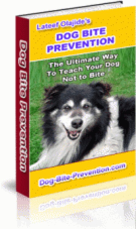 Product picture Dog Bite Prevention mrr