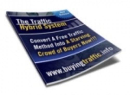 Product picture The Traffic Hybrid System mrr