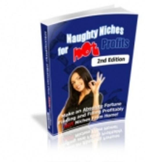 Product picture Naughty Niches for Hot Profits : 2nd Edition mrr