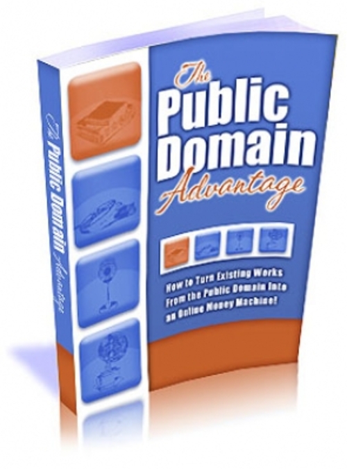 Product picture The Public Domain Advantage pu