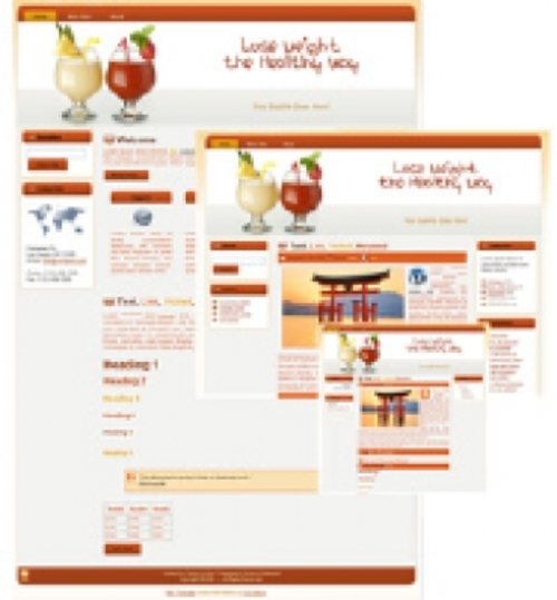 Product picture Weight Loss 02 Blog  mrr