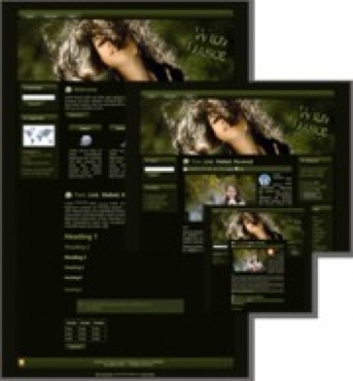 Product picture Wild Dance - WP Theme mrr