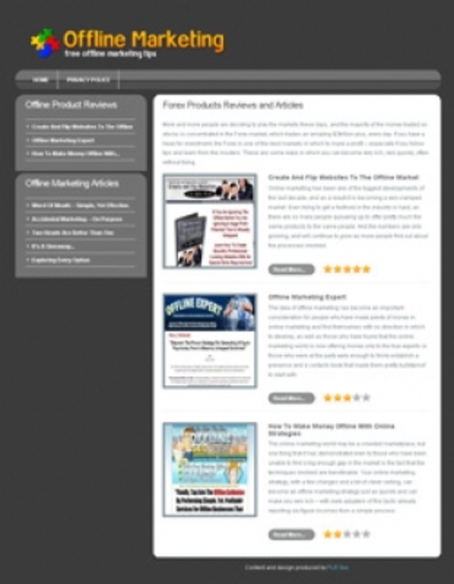 Product picture Offline Marketing Niche Site plr
