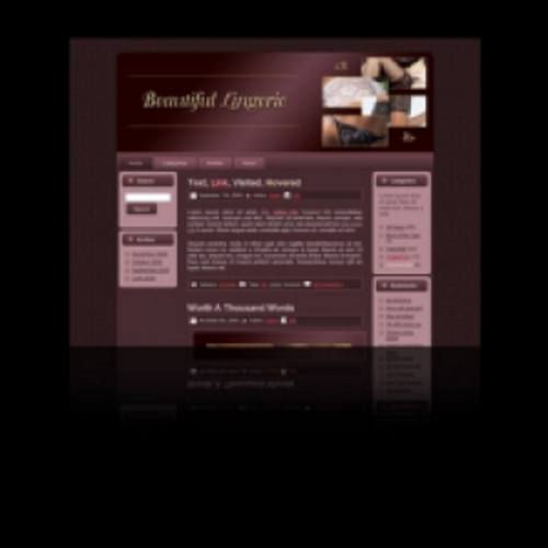 Product picture Lingerie WP Theme mrr