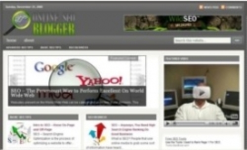 Product picture Hot SEO Niche Blog plr