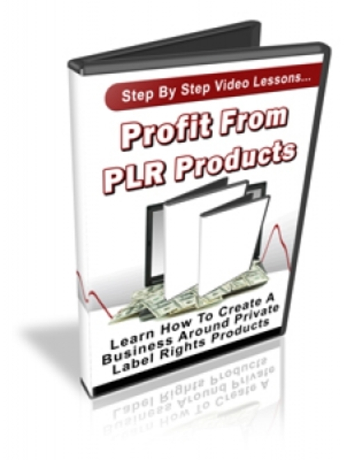 Product picture Profit From PLR Products pu
