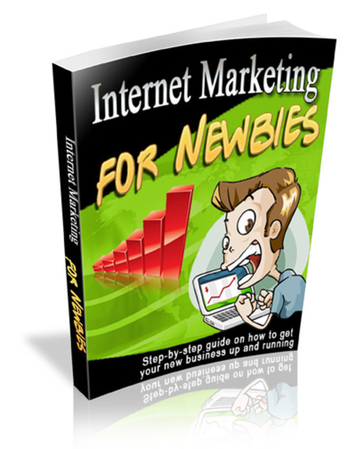 Product picture Internet Marketing for Newbies (Viral PLR)